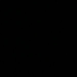 Meet your Posher, Iris